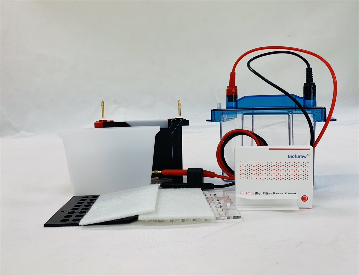 ve-186 天能转移蛋白电泳槽